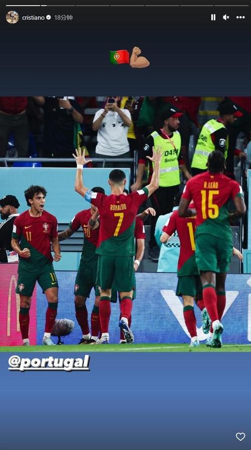 葡萄牙队vs加纳3-1